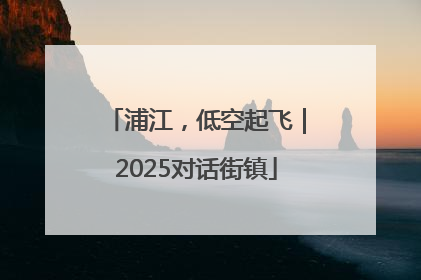 浦江，低空起飞｜2025对话街镇