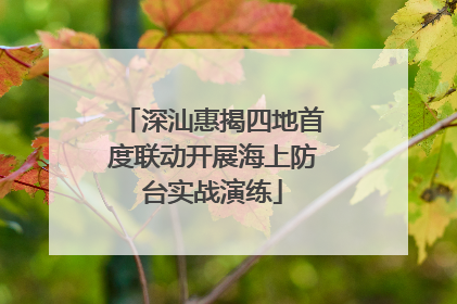 深汕惠揭四地首度联动开展海上防台实战演练