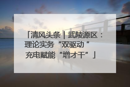 清风头条｜武陵源区：理论实务“双驱动 ” 充电赋能“增才干”