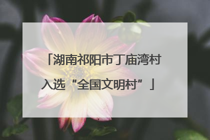 湖南祁阳市丁庙湾村入选“全国文明村”