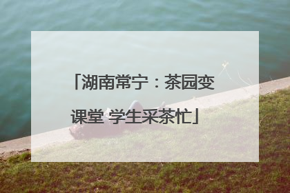 湖南常宁：茶园变课堂 学生采茶忙