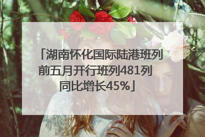 湖南怀化国际陆港班列前五月开行班列481列 同比增长45%
