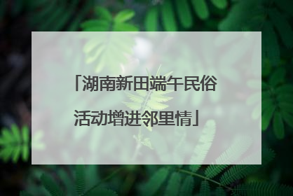 湖南新田端午民俗活动增进邻里情