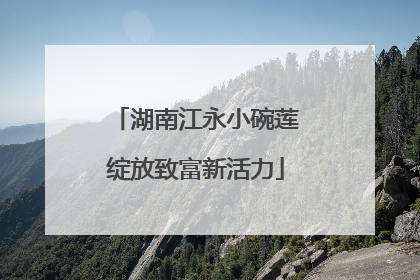 湖南江永小碗莲绽放致富新活力