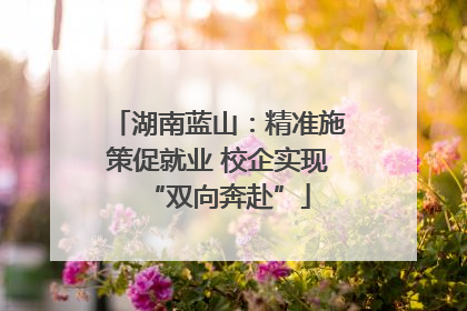 湖南蓝山：精准施策促就业 校企实现“双向奔赴”
