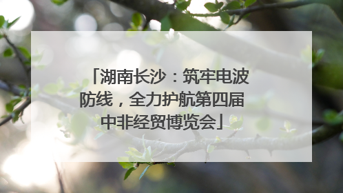 湖南长沙：筑牢电波防线，全力护航第四届中非经贸博览会