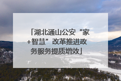 湖北通山公安“家+智慧”改革推进政务服务提质增效