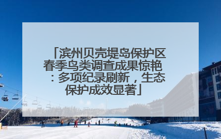 滨州贝壳堤岛保护区春季鸟类调查成果惊艳：多项纪录刷新，生态保护成效显著