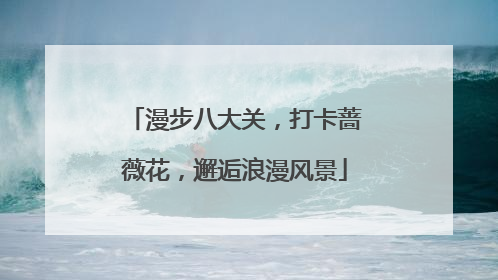 漫步八大关，打卡蔷薇花，邂逅浪漫风景