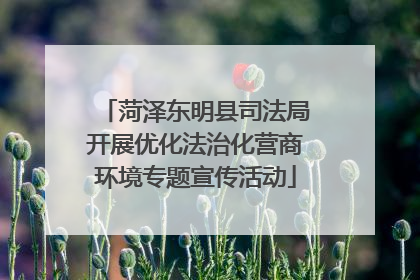 菏泽东明县司法局开展优化法治化营商环境专题宣传活动