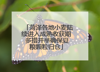 菏泽各地小麦陆续进入成熟收获期 多措并举确保夏粮颗粒归仓
