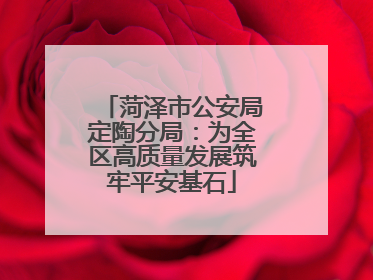 菏泽市公安局定陶分局：为全区高质量发展筑牢平安基石