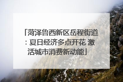 菏泽鲁西新区岳程街道：夏日经济多点开花 激活城市消费新动能