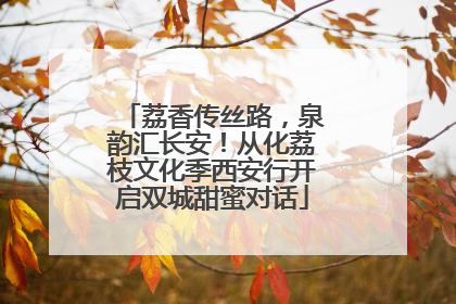 荔香传丝路，泉韵汇长安！从化荔枝文化季西安行开启双城甜蜜对话