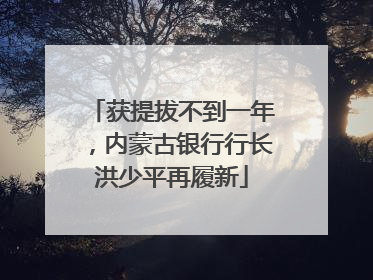 获提拔不到一年，内蒙古银行行长洪少平再履新