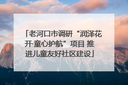 老河口市调研“润泽花开·童心护航”项目 推进儿童友好社区建设