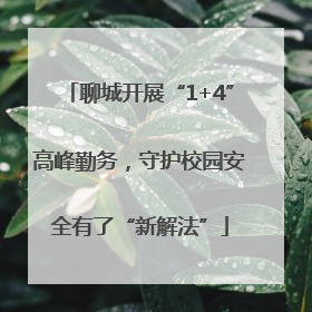 聊城开展“1+4”高峰勤务，守护校园安全有了“新解法”