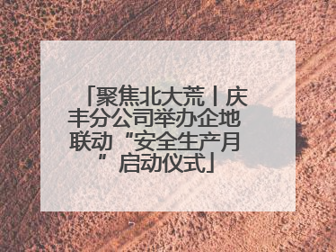 聚焦北大荒丨庆丰分公司举办企地联动“安全生产月”启动仪式