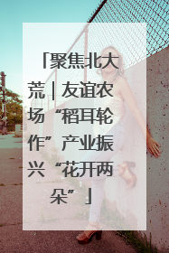 聚焦北大荒｜友谊农场“稻耳轮作”产业振兴“花开两朵”