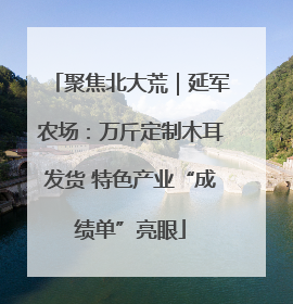 聚焦北大荒｜延军农场：万斤定制木耳发货 特色产业“成绩单”亮眼