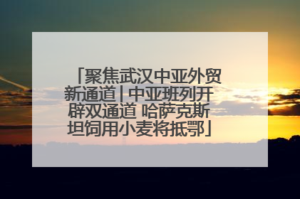 聚焦武汉中亚外贸新通道│中亚班列开辟双通道 哈萨克斯坦饲用小麦将抵鄂