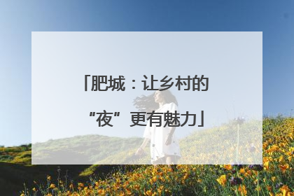 肥城：让乡村的“夜”更有魅力