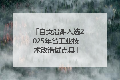 自贡沿滩入选2025年省工业技术改造试点县