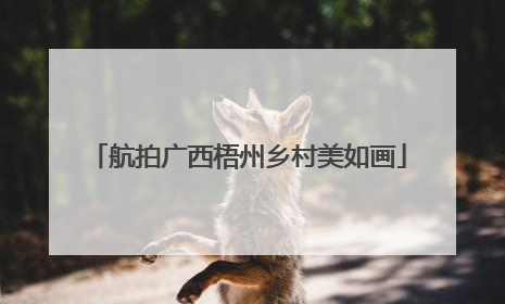 航拍广西梧州乡村美如画
