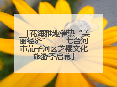 花海雅趣催热“美丽经济”——七台河市茄子河区芝樱文化旅游季启幕