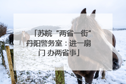 苏皖“两省一街”丹阳警务室：进一扇门 办两省事