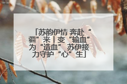 苏韵伊情 奔赴“疆”来丨变“输血”为“造血” 苏伊接力守护“心”生