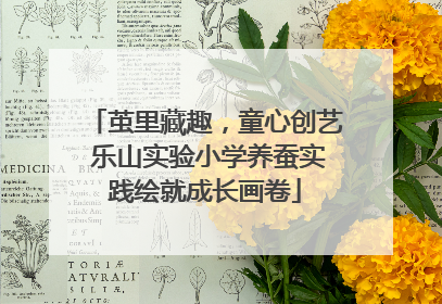 茧里藏趣，童心创艺 乐山实验小学养蚕实践绘就成长画卷