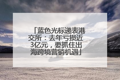 蓝色光标递表港交所：去年亏损近3亿元，要抓住出海跨境营销机遇