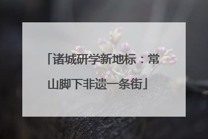 诸城研学新地标：常山脚下非遗一条街