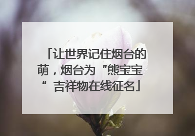 让世界记住烟台的萌，烟台为“熊宝宝”吉祥物在线征名