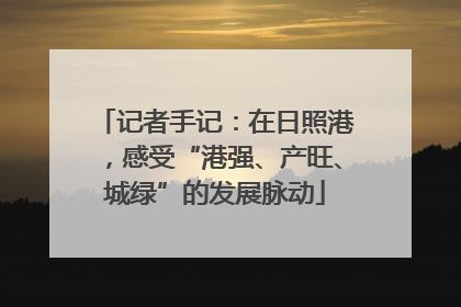 记者手记：在日照港，感受“港强、产旺、城绿”的发展脉动