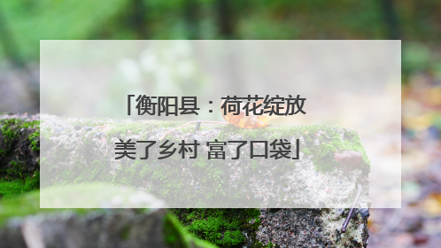 衡阳县：荷花绽放 美了乡村 富了口袋