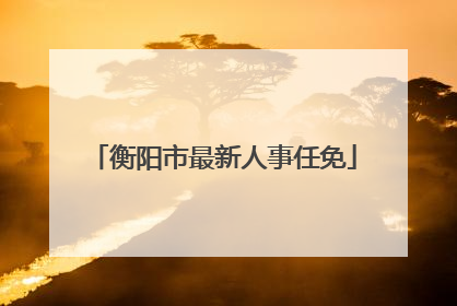 衡阳市最新人事任免