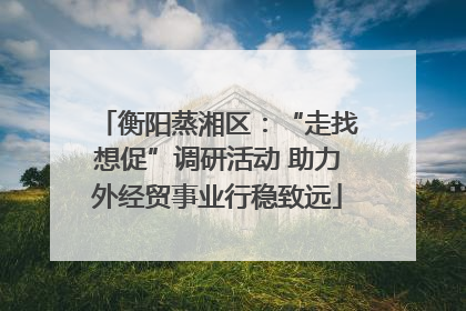 衡阳蒸湘区：“走找想促”调研活动 助力外经贸事业行稳致远