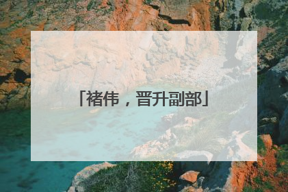 褚伟，晋升副部