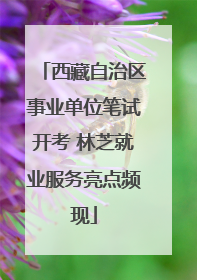 西藏自治区事业单位笔试开考 林芝就业服务亮点频现
