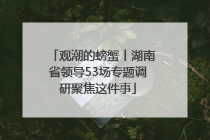 观潮的螃蟹丨湖南省领导53场专题调研聚焦这件事