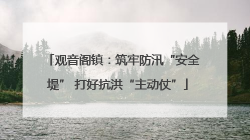 观音阁镇：筑牢防汛“安全堤” 打好抗洪“主动仗”