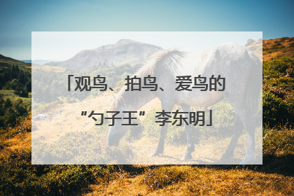 观鸟、拍鸟、爱鸟的“勺子王”李东明