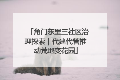 角门东里三社区治理探索｜代建代管推动荒地变花园