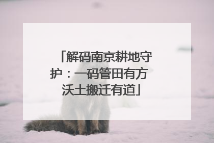 解码南京耕地守护：一码管田有方 沃土搬迁有道