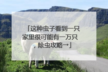 这种虫子看到一只家里很可能有一万只，除虫攻略→