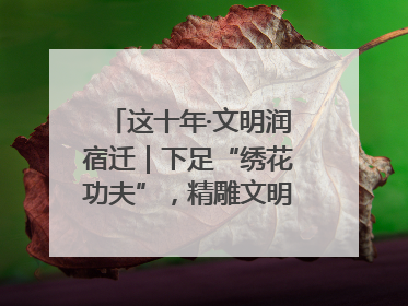 这十年·文明润宿迁｜下足“绣花功夫”，精雕文明城市品质