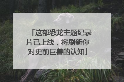 这部恐龙主题纪录片已上线，将刷新你对史前巨兽的认知