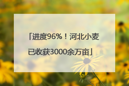 进度96%！河北小麦已收获3000余万亩